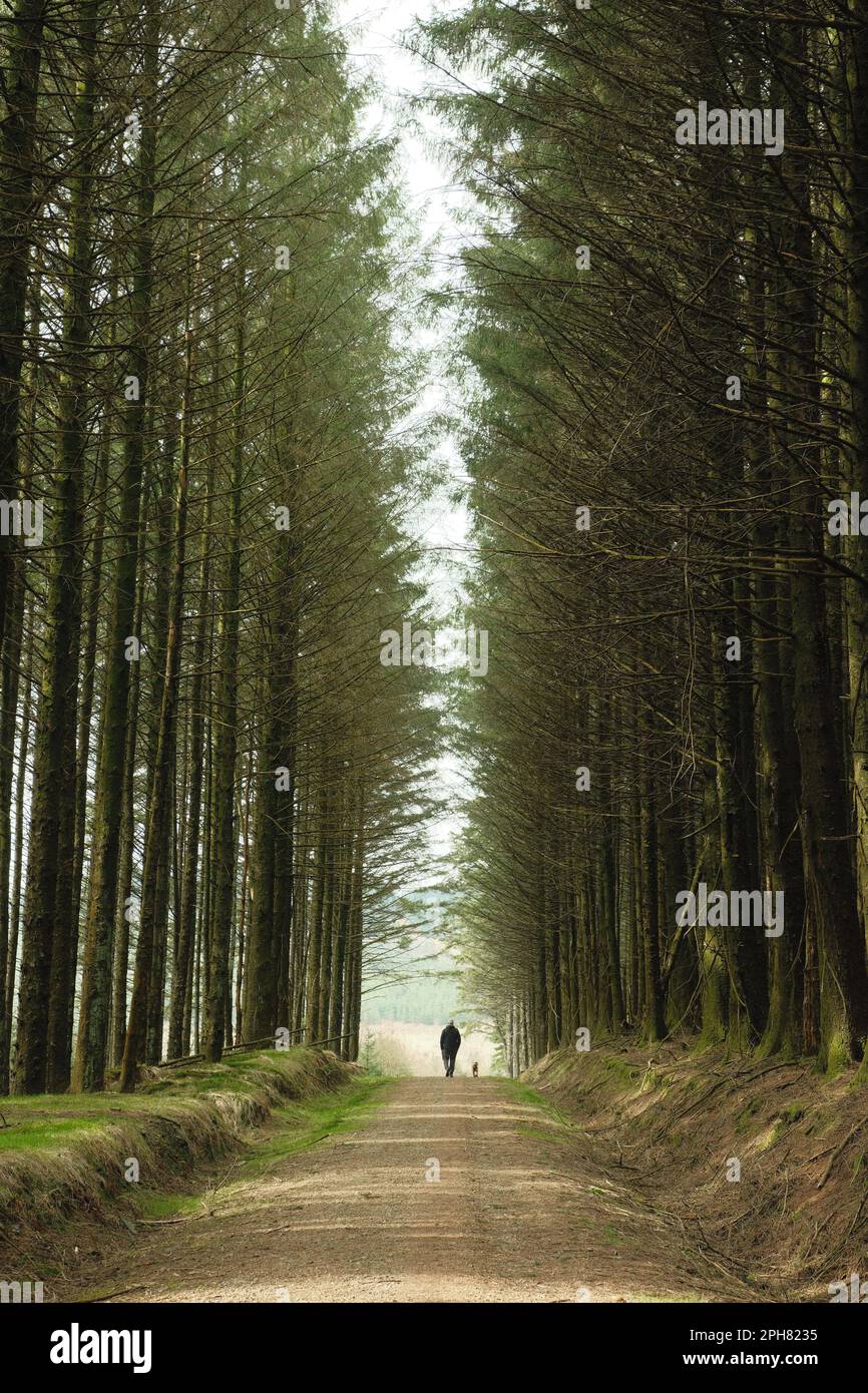 Person of the forest hi-res stock photography and images - Alamy