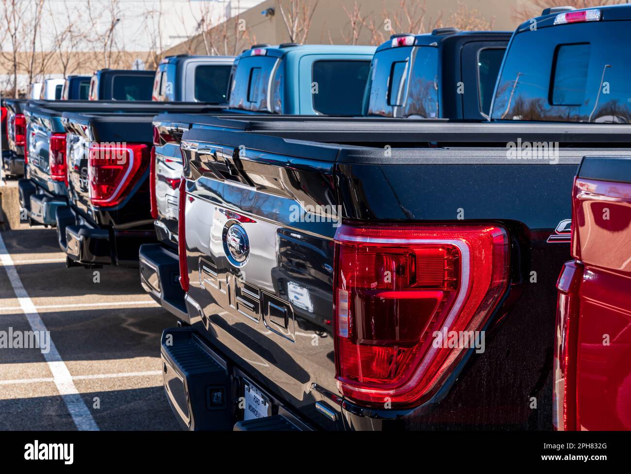 Several Ford F150 pickup trucks lined up for sale at a dealership in