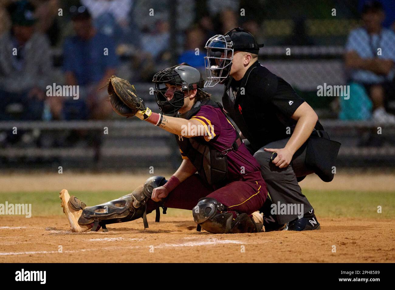 Minnesota Morris Cougars catcher Keegan Jonas (10) during an NCAA