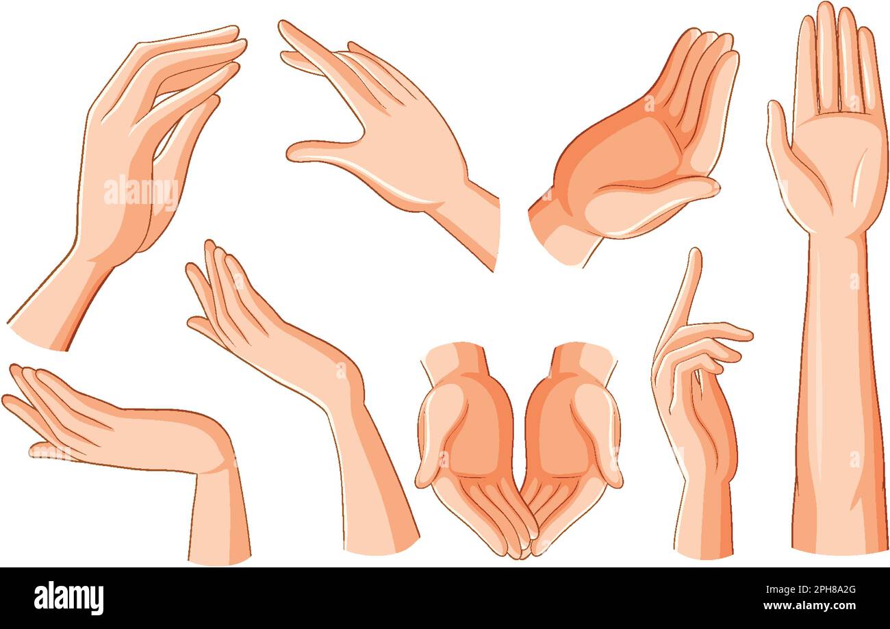 Set of Human Hands in Different Positions and Gestures illustration ...