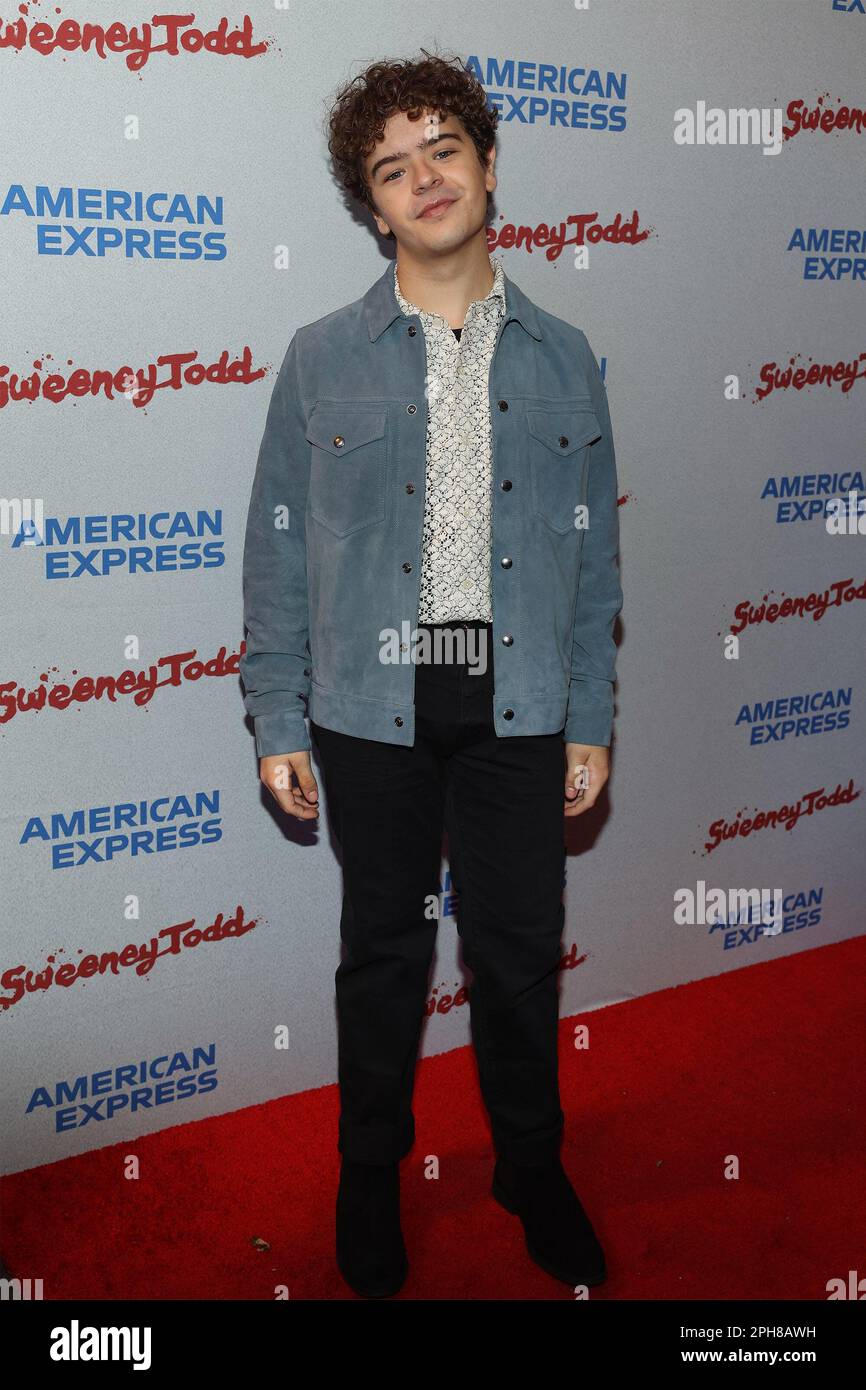 New York, NY, USA. 26th Mar, 2023. Gaten Matarazzo in attendance for