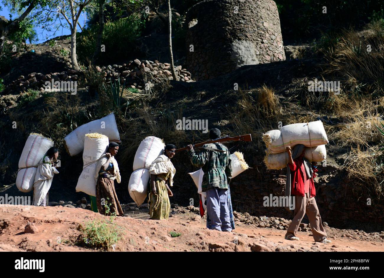 Ethiopians carrying bulky packs of hay on their back and heads on their way to the market near Lalibela, Ethiopia. Stock Photo