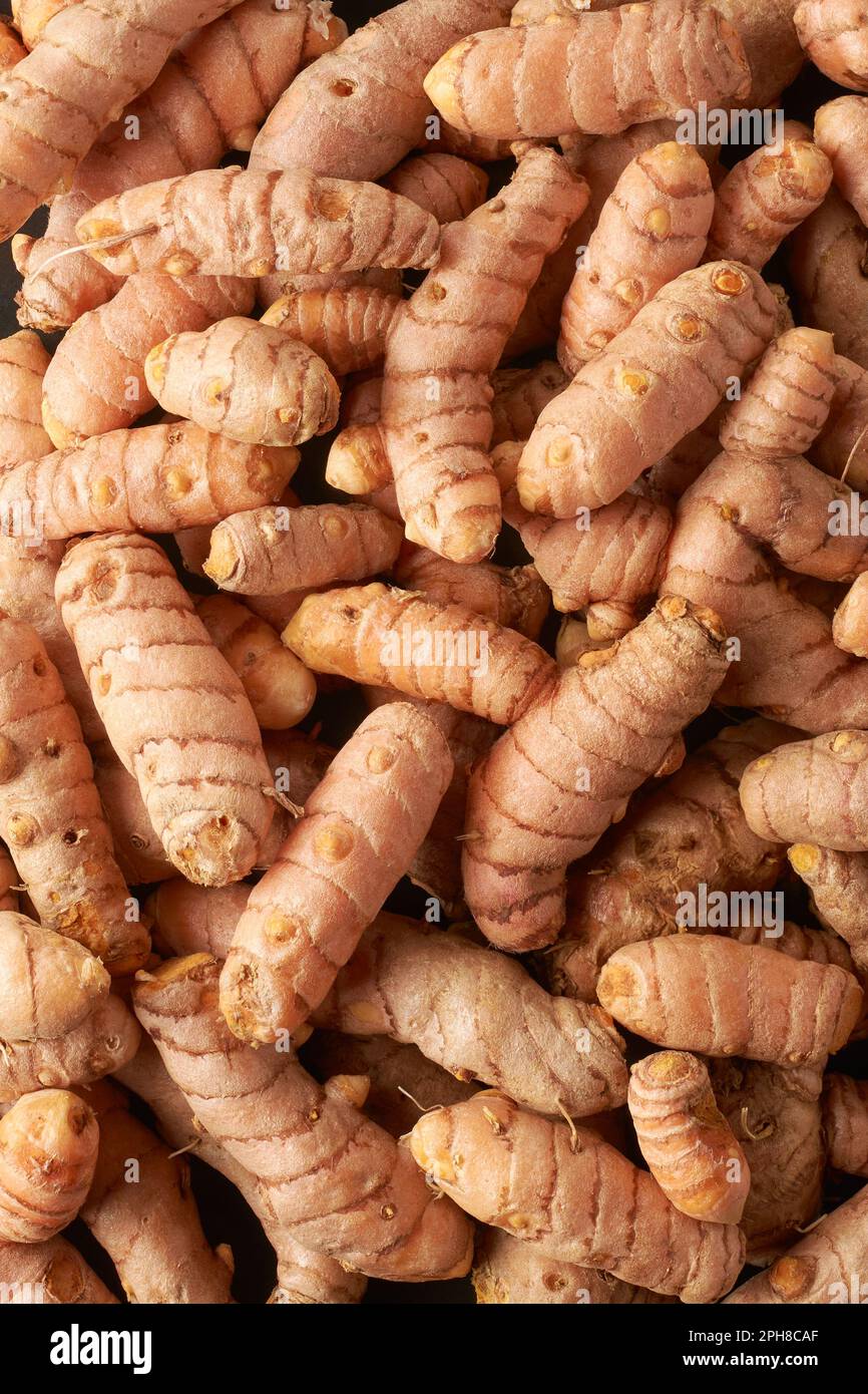 pile of cleaned turmeric rhizomes or roots, curcuma longa, commonly used spice in cooking and medicine, root-like structure ready to processed Stock Photo