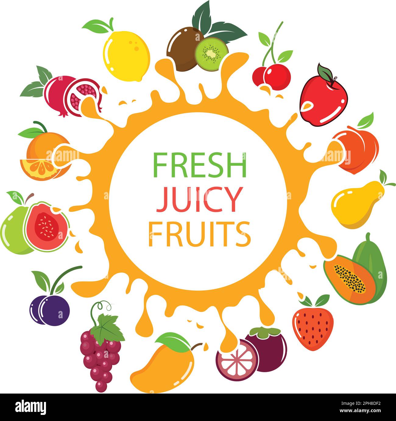 fresh juicy fruits vector illustration design template web Stock Vector
