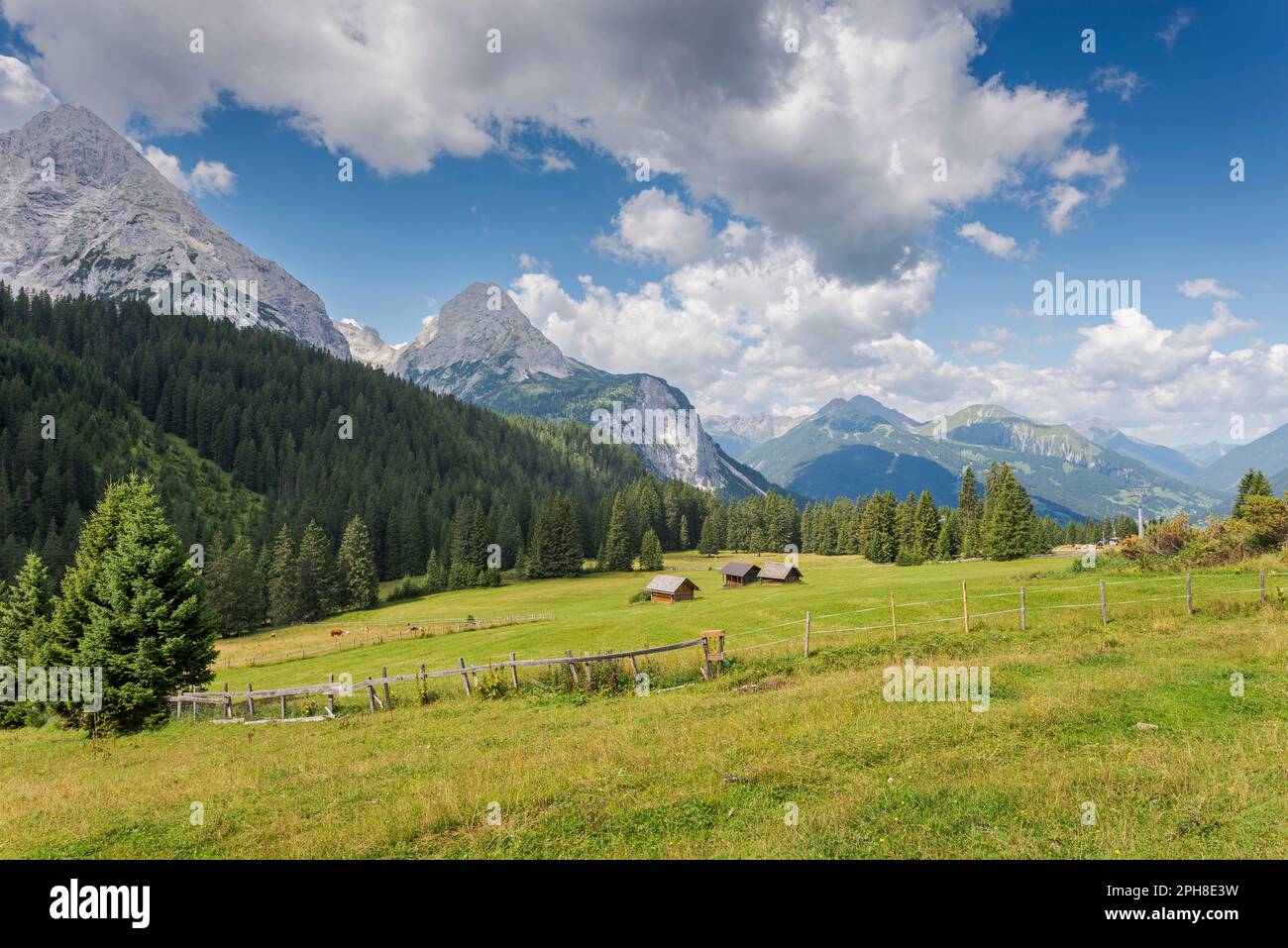 Meadows and forest of Norway spruce, Picea abies, in the Mieming Range, State of Tyrol, Austria. Stock Photo