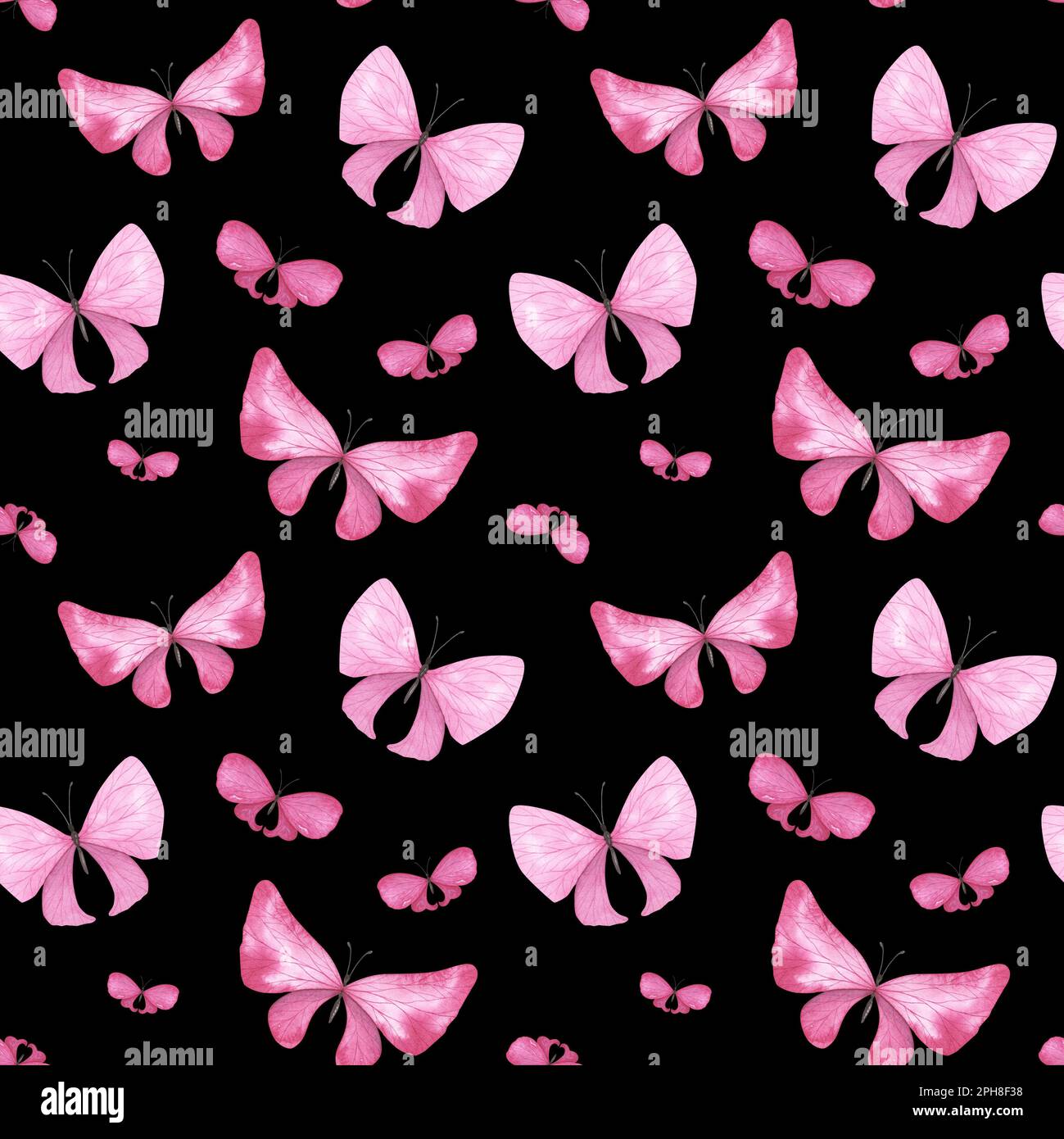 Pink And Black Butterfly Background Designs