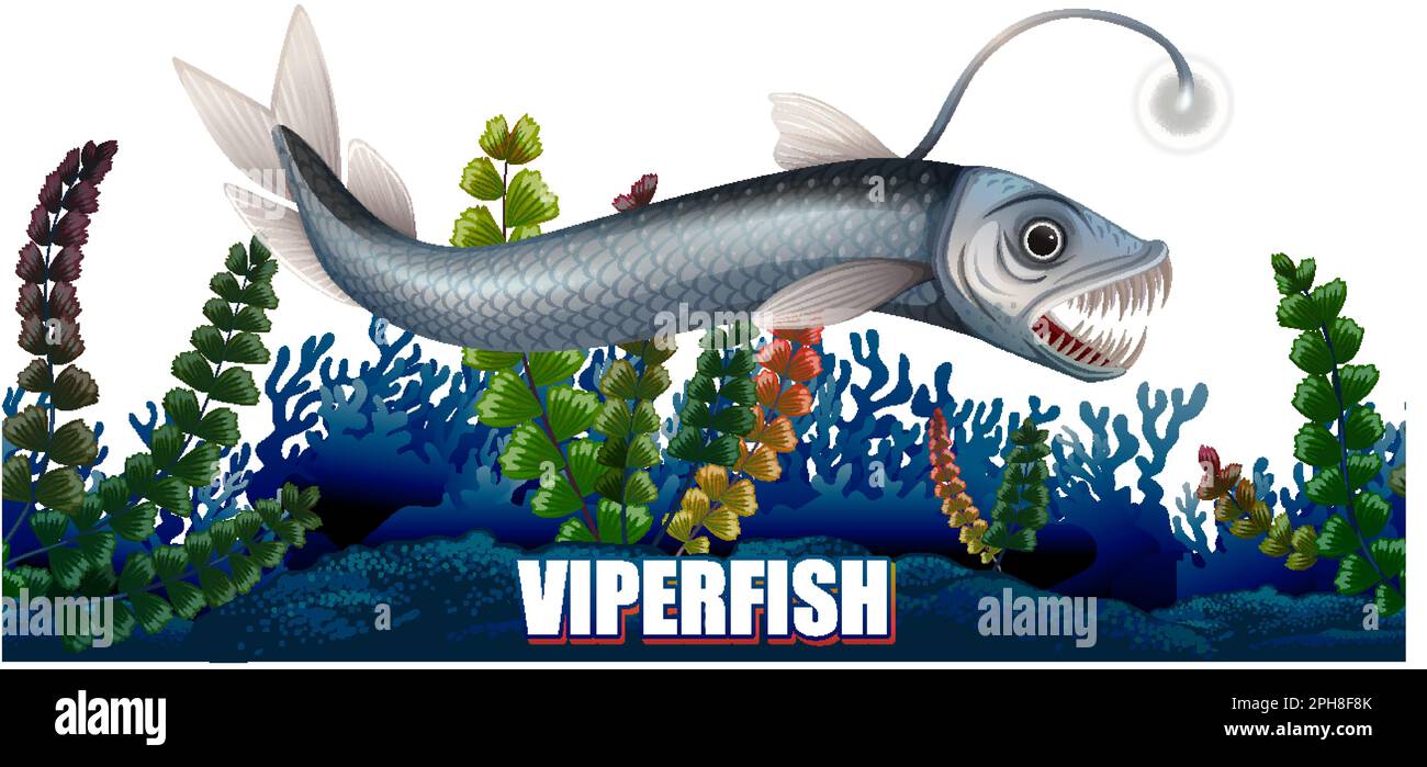 Viperfish Deep Sea Creature illustration Stock Vector