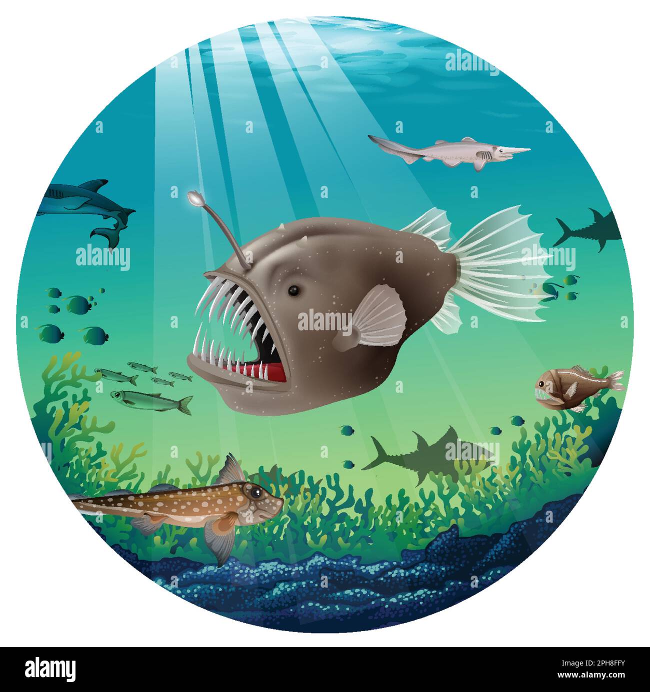 Deepsea Anglerfish in the Sea illustration Stock Vector Image & Art