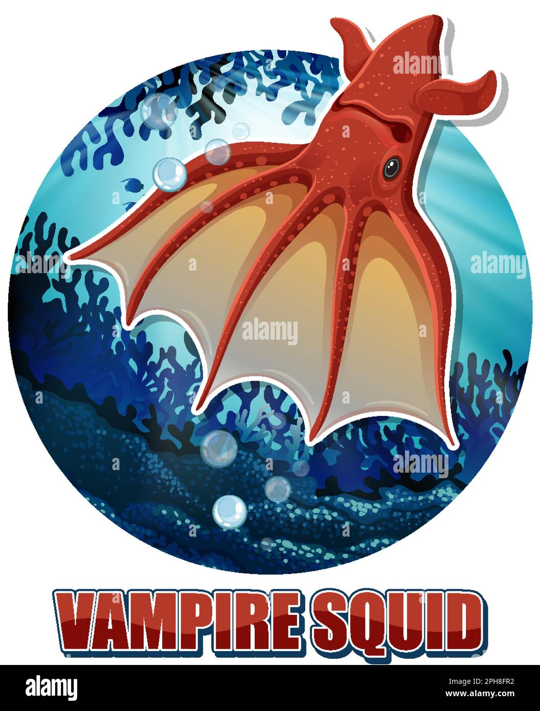 Vampire Squid Deep Sea Creature illustration Stock Vector Image & Art