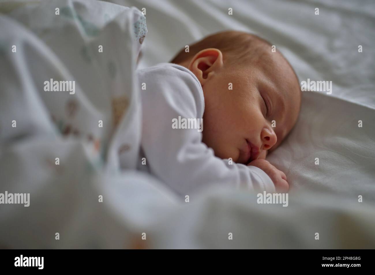 Portrait of cute newborn baby sleeping in bed Stock Photo Alamy