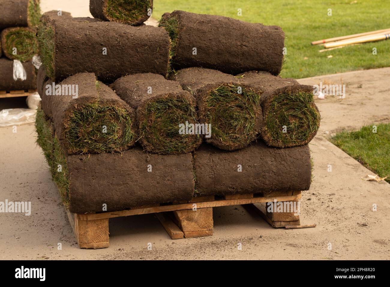 laying new green grass in the park, landscaping the park Stock Photo