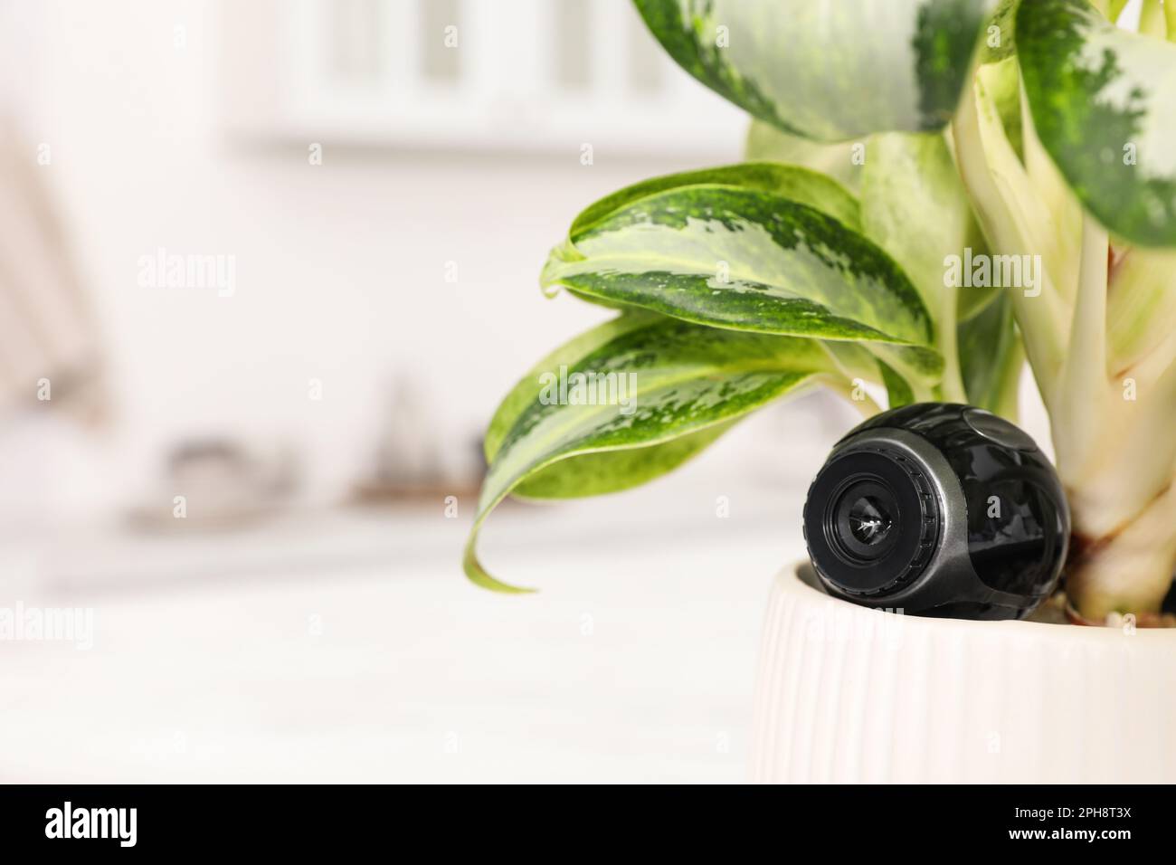 Spy camera hidden in flower pot indoors, closeup. Space for text Stock