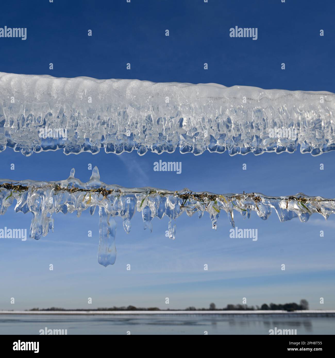 Ice age... icicles on a wire fence ( winter flood 2020/2021 ) on Bislicher Island. Stock Photo