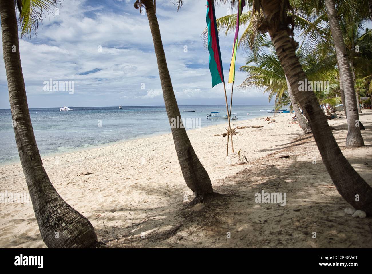 Dreamlike idyllic beach of Siquijor in the Philippines in the shade of several palm trees. Stock Photo