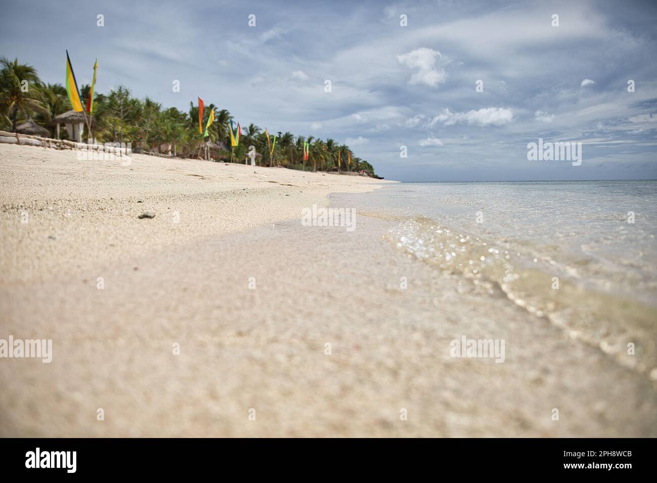 Dreamlike idyllic beach of Siquijor in the Philippines with palm trees along the beach. Stock Photo
