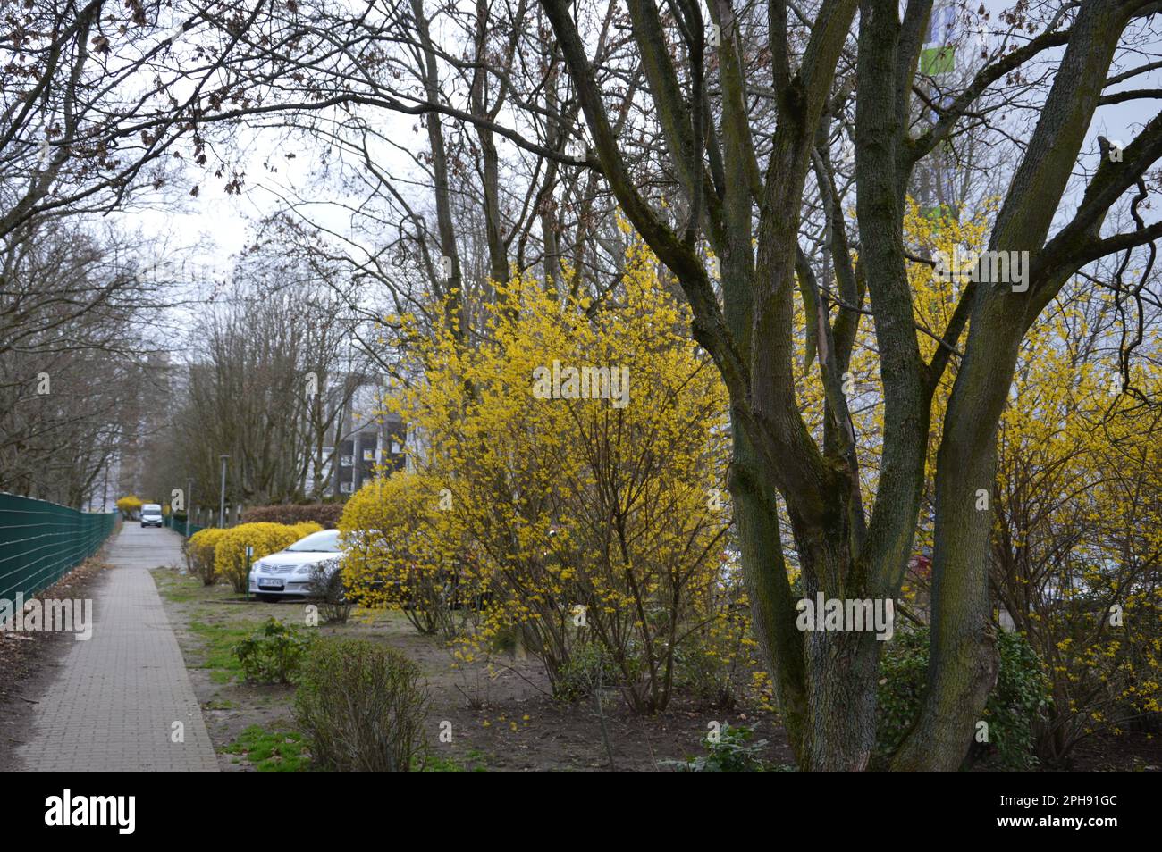 Berlin, Germany - March 26, 2023 - Signs of Spring in Gropiusstadt. (Photo by Markku Rainer Peltonen) Stock Photo