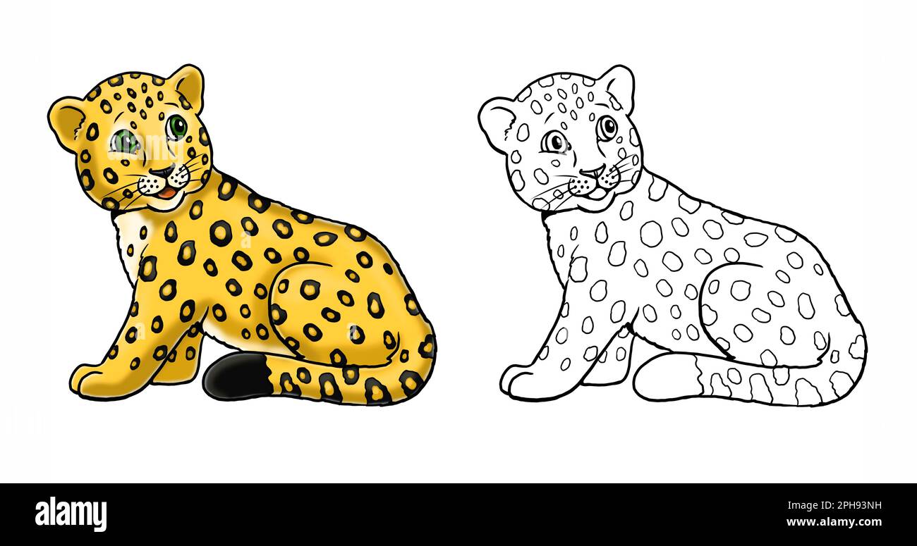 Cute baby leopard to color in. Template for a coloring book with funny animals. Colouring page for kids. Stock Photo