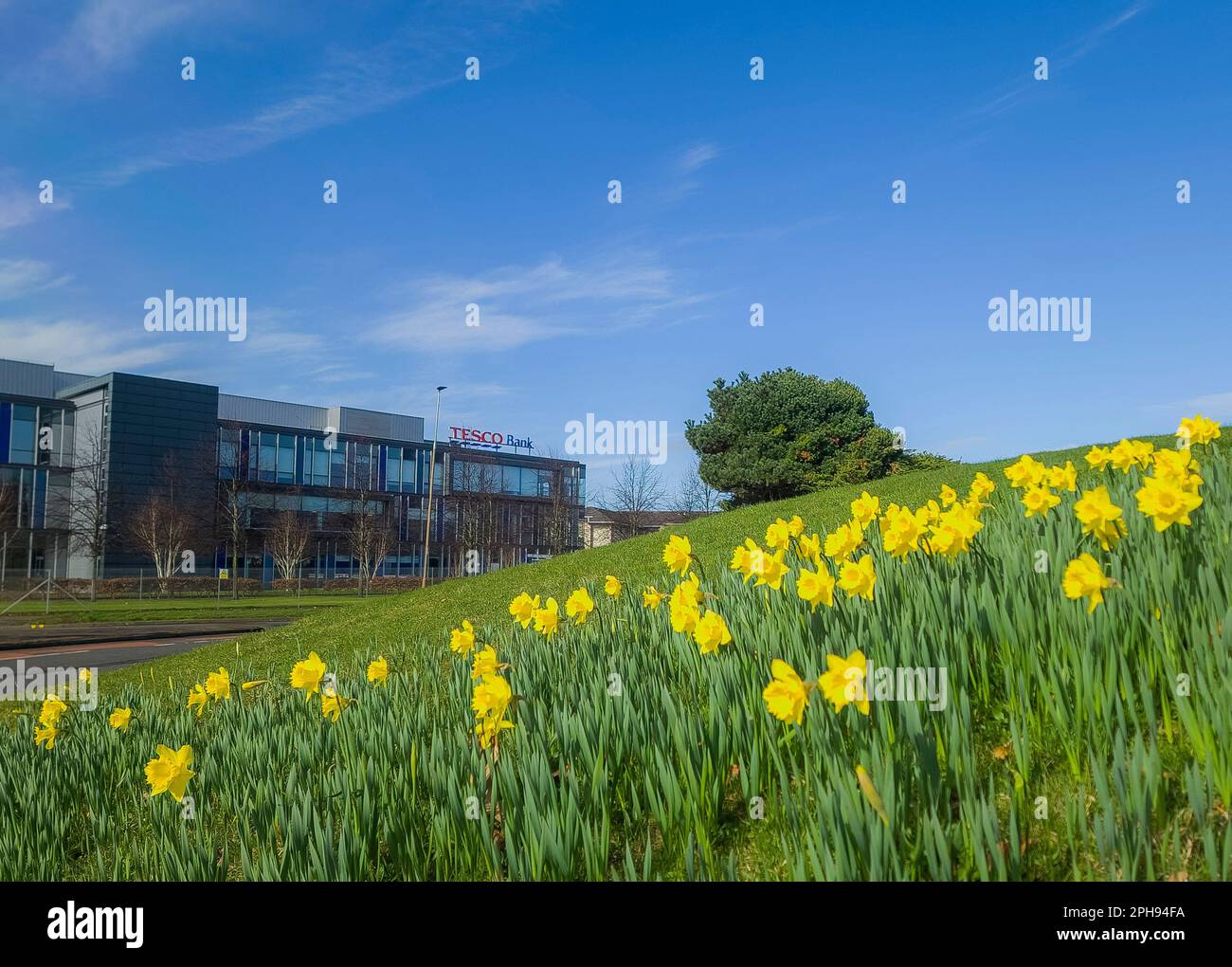 Edinburgh, Scotland, UK. 26th Mar, 2023. Tesco Bank offices in Edinburgh, Scotland. Picture Credit: phil wilkinson/Alamy Live News Credit: phil wilkinson/Alamy Live News Stock Photo