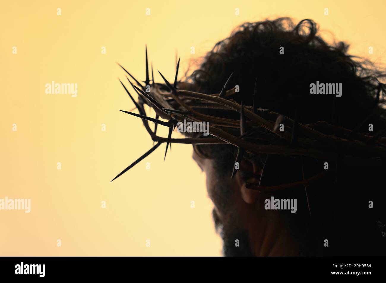 Jesus Christ Portrait with crown of thorns Stock Photo