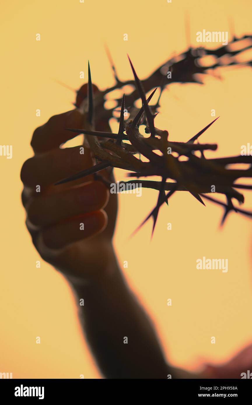 Hand crown hi-res stock photography and images - Alamy