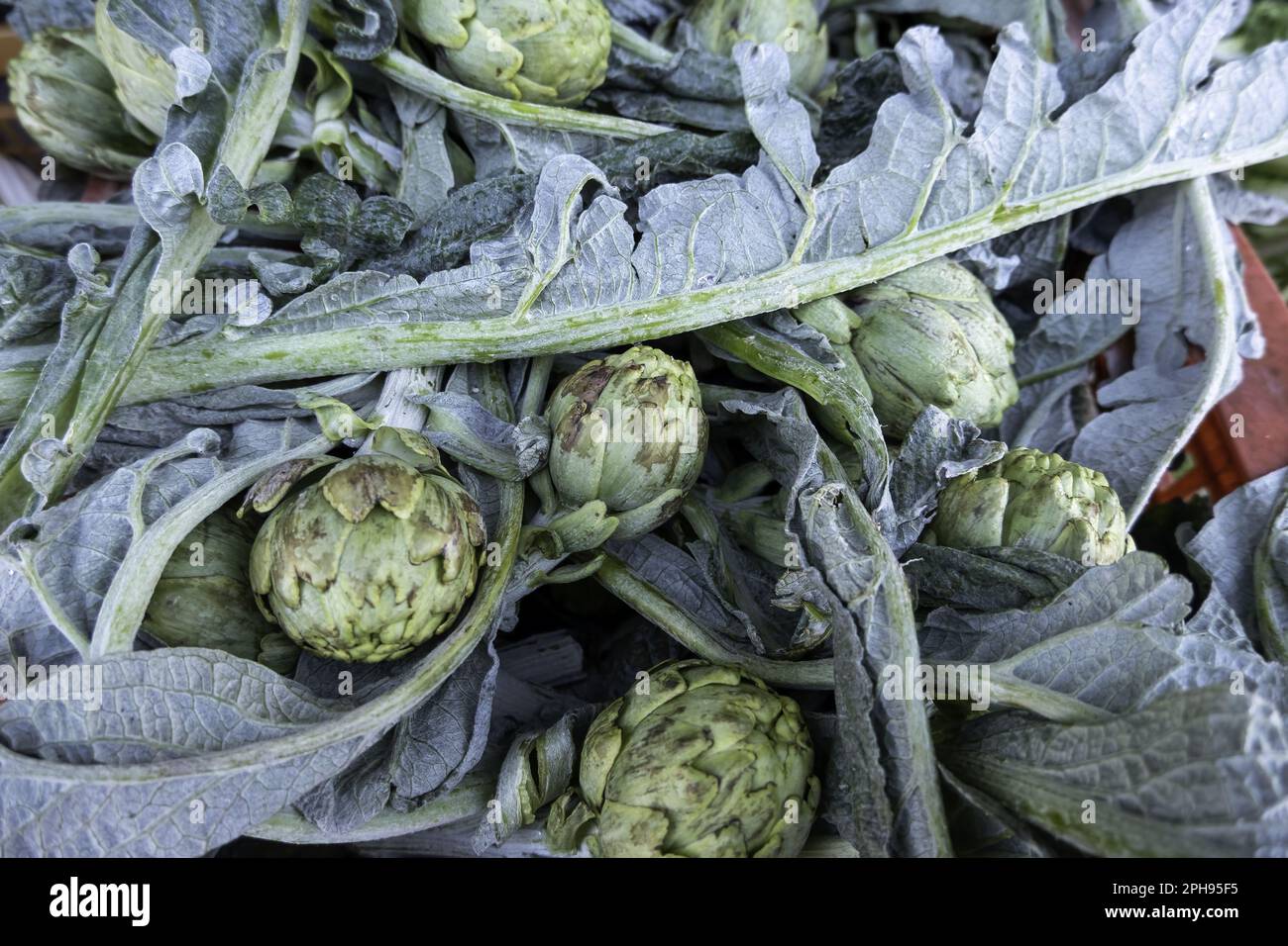 Detail of fresh vegetables in a market in Spain, healthy food, diet Stock Photo