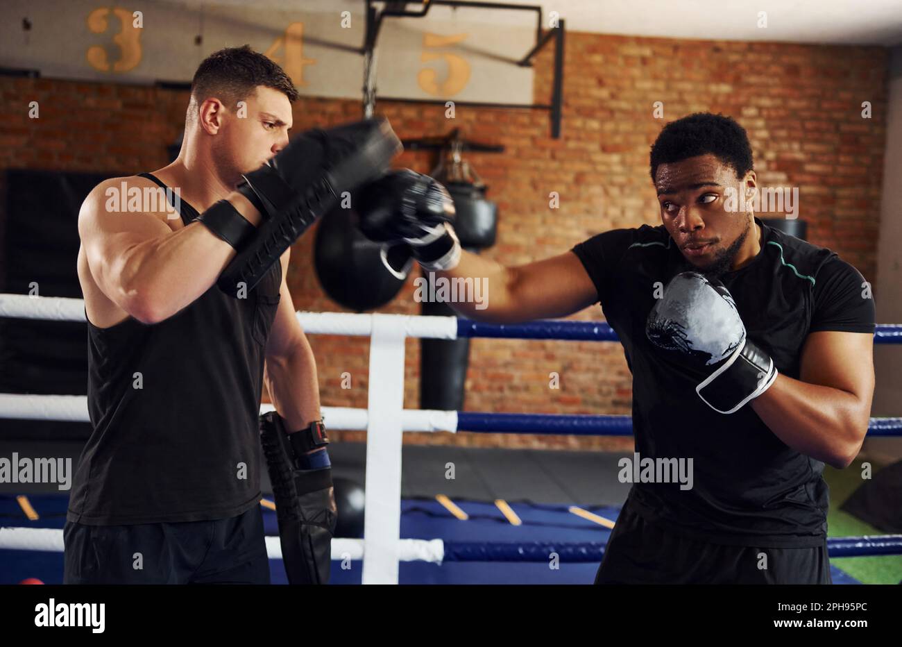 Having boxing practive. African american man with white guy have ...