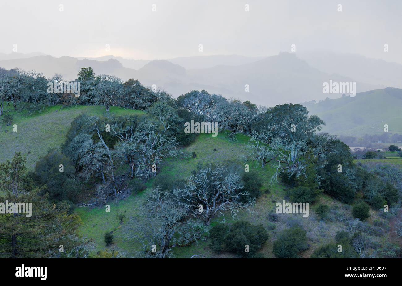 Aerial view of misty hills in green California landscape Stock Photo ...