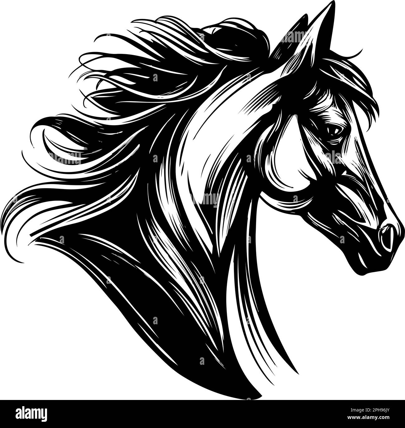 Dressage Horse Black And White Stock Photos & Images - Alamy