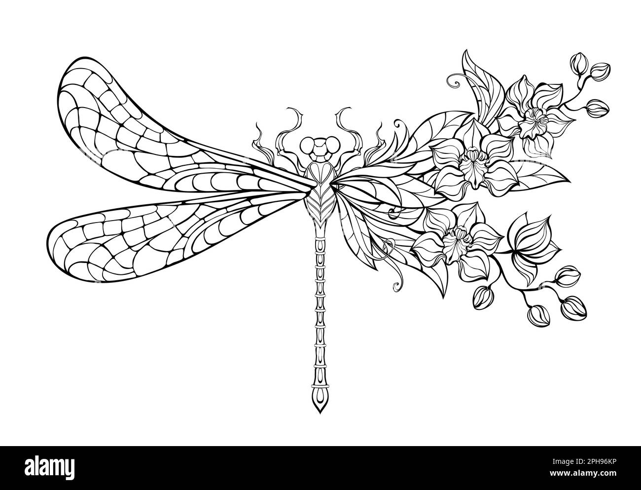 Contour, stylized, artistic dragonfly, decorated with exotic orchids on white background. Coloring dragonfly. Stock Vector