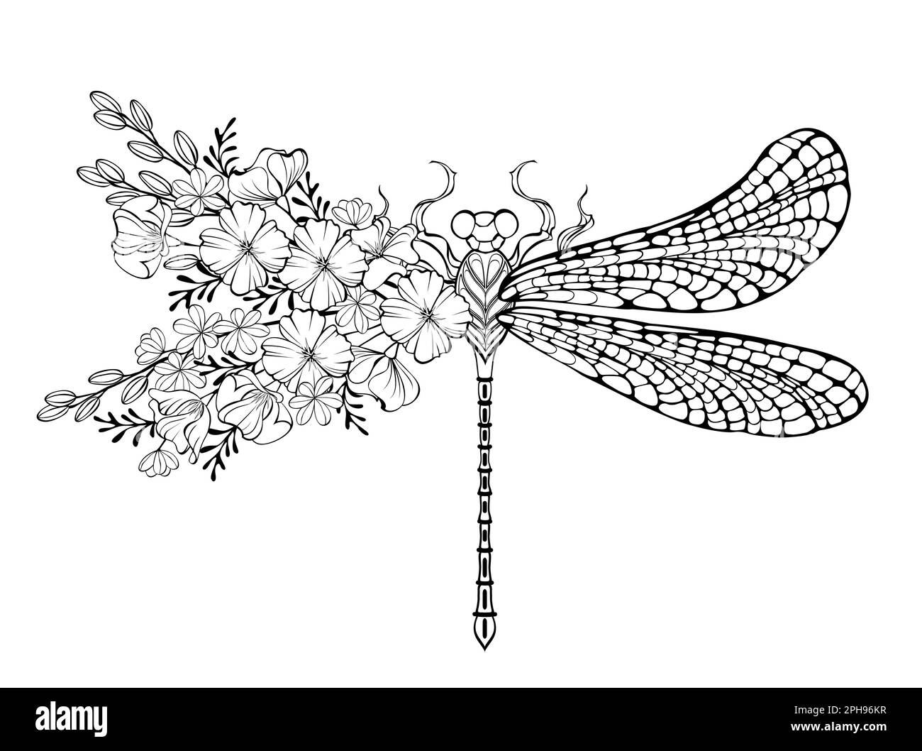 Outline, artistically drawn, floral dragonfly with wing decorated with California poppy and wild plants on white background. Coloring floral dragonfly Stock Vector