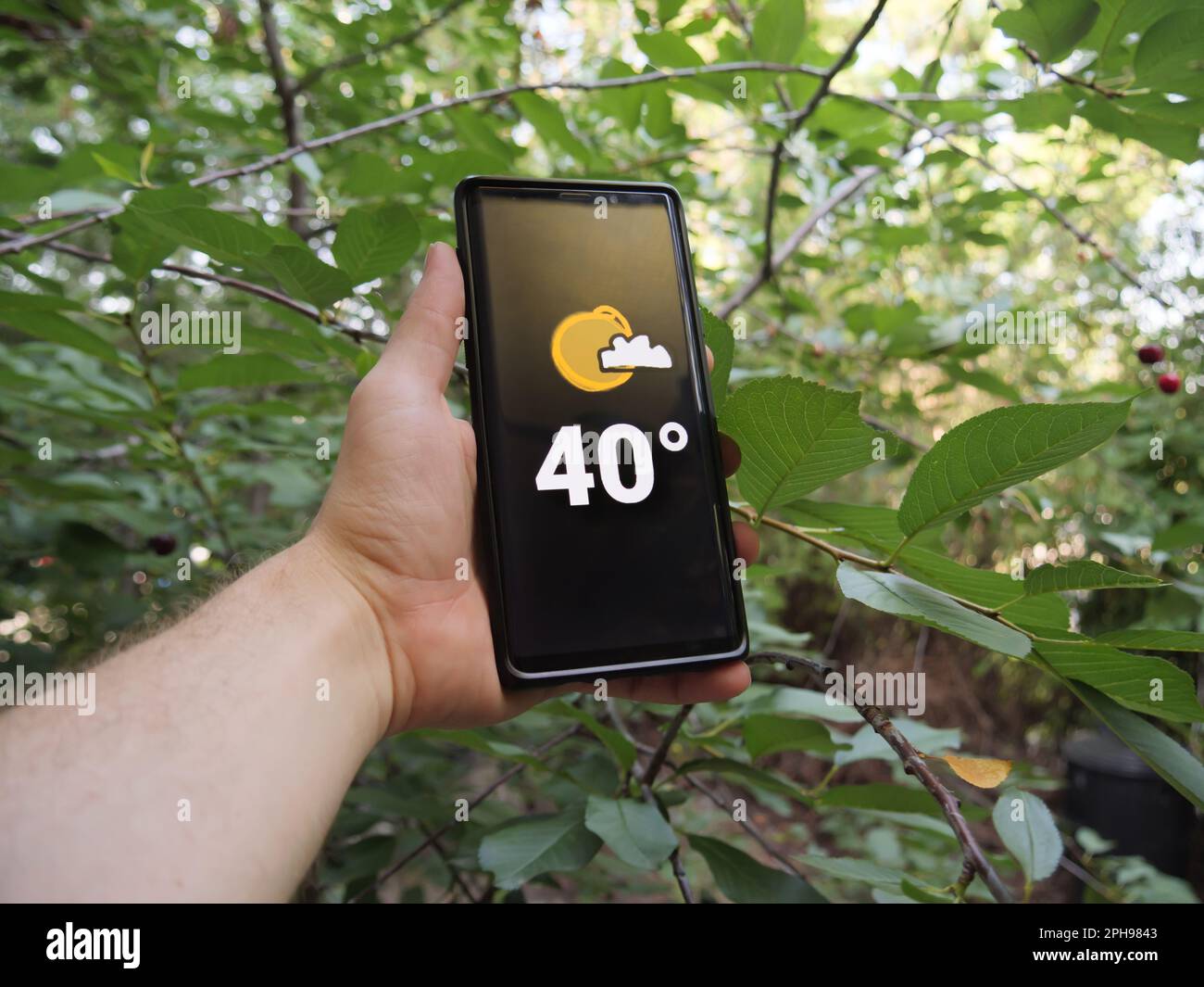 Thermometer marking 40 degrees celsius High Temperature show on Mobile Screen in hot summer. Climate change leads to more extreme weather event. Stock Photo