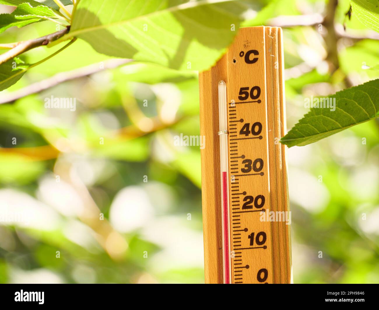 Thermometer making 30 degrees celsius temperature, hot summer weather. Red heat warning, Heatwave cause climate change, global warming. Nature green f Stock Photo