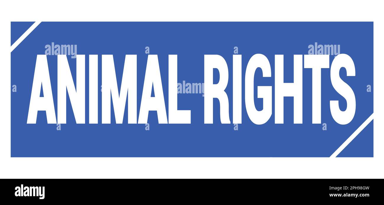 ANIMAL RIGHTS text written on blue grungy stamp sign Stock Photo - Alamy