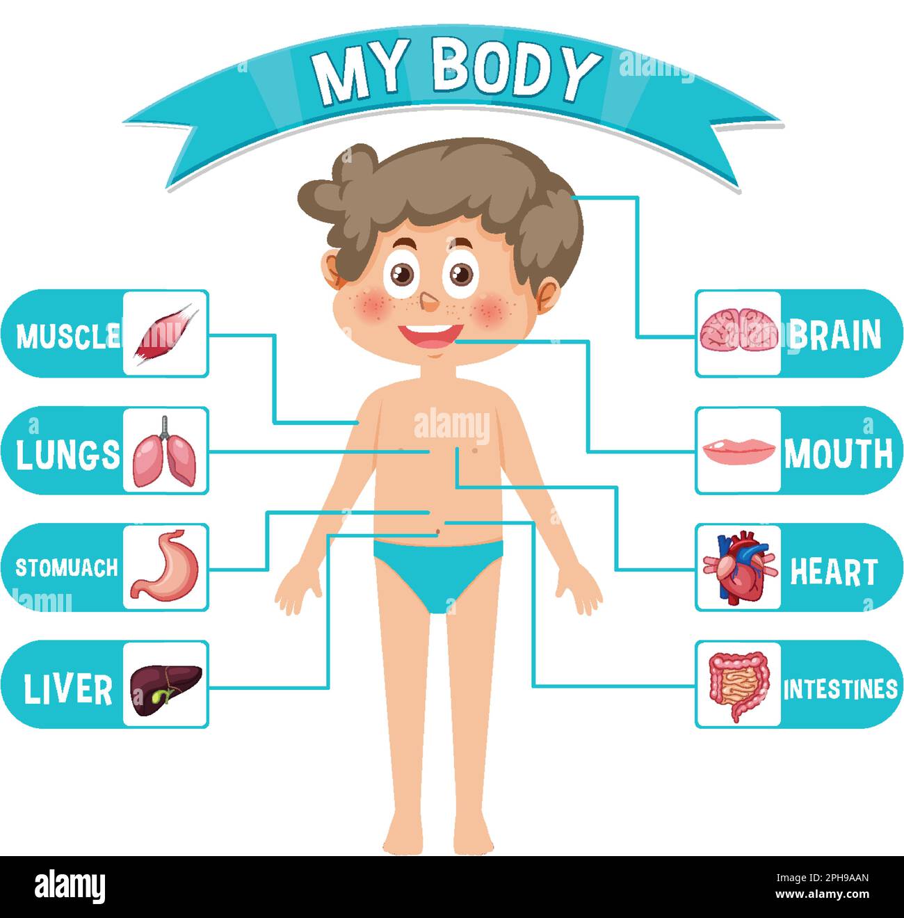 Body Clipart For Kids