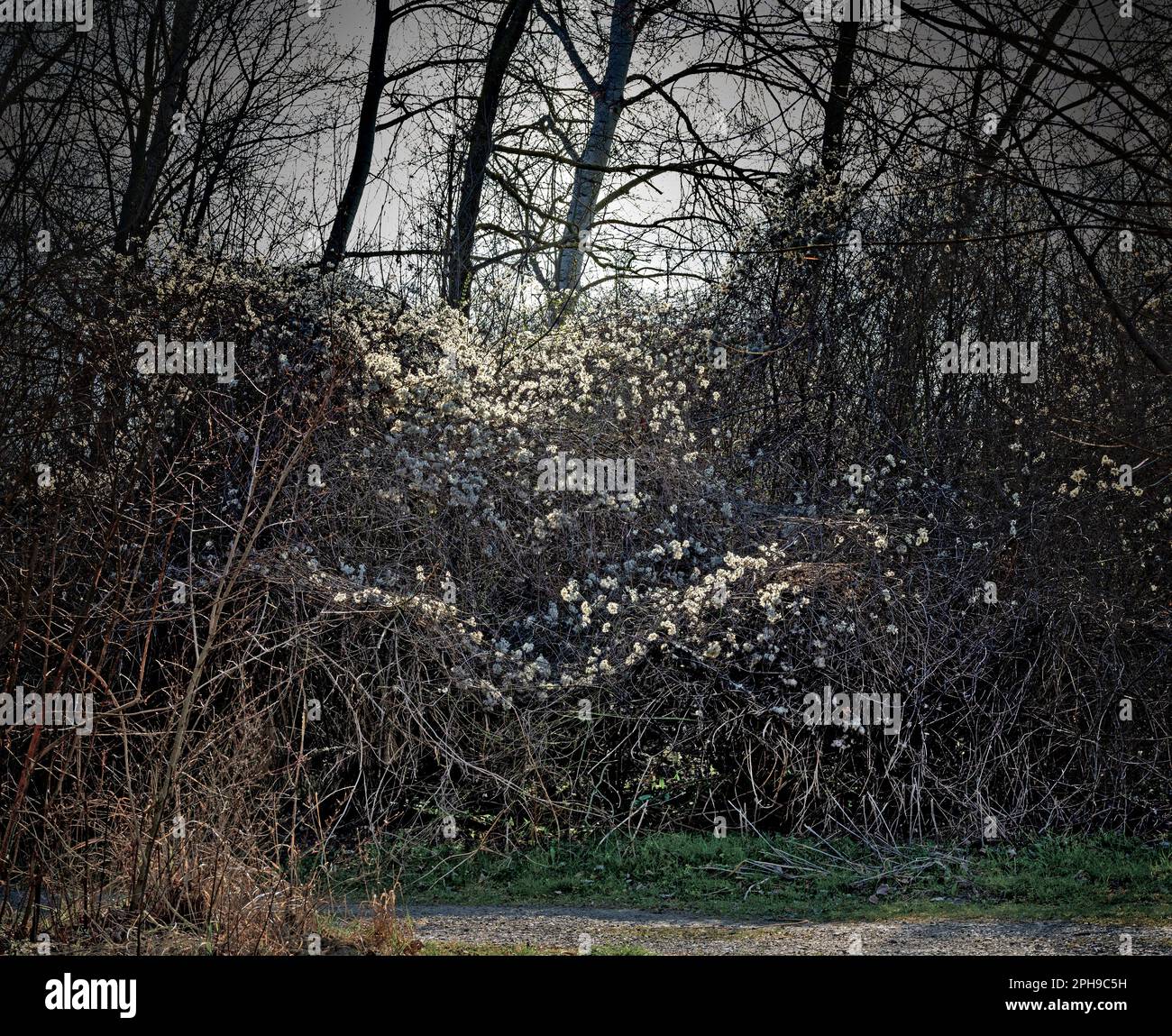 Creepeer hires stock photography and images Alamy