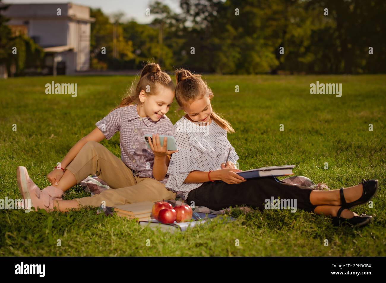 teen girls prepare together for passing tests and exams. girls drawing ...
