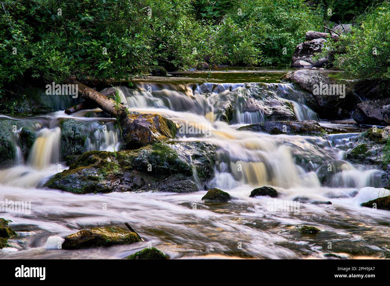 Meanderine Stream Rocks A long exposure shot of a stream meandering through a lush green forest ...
