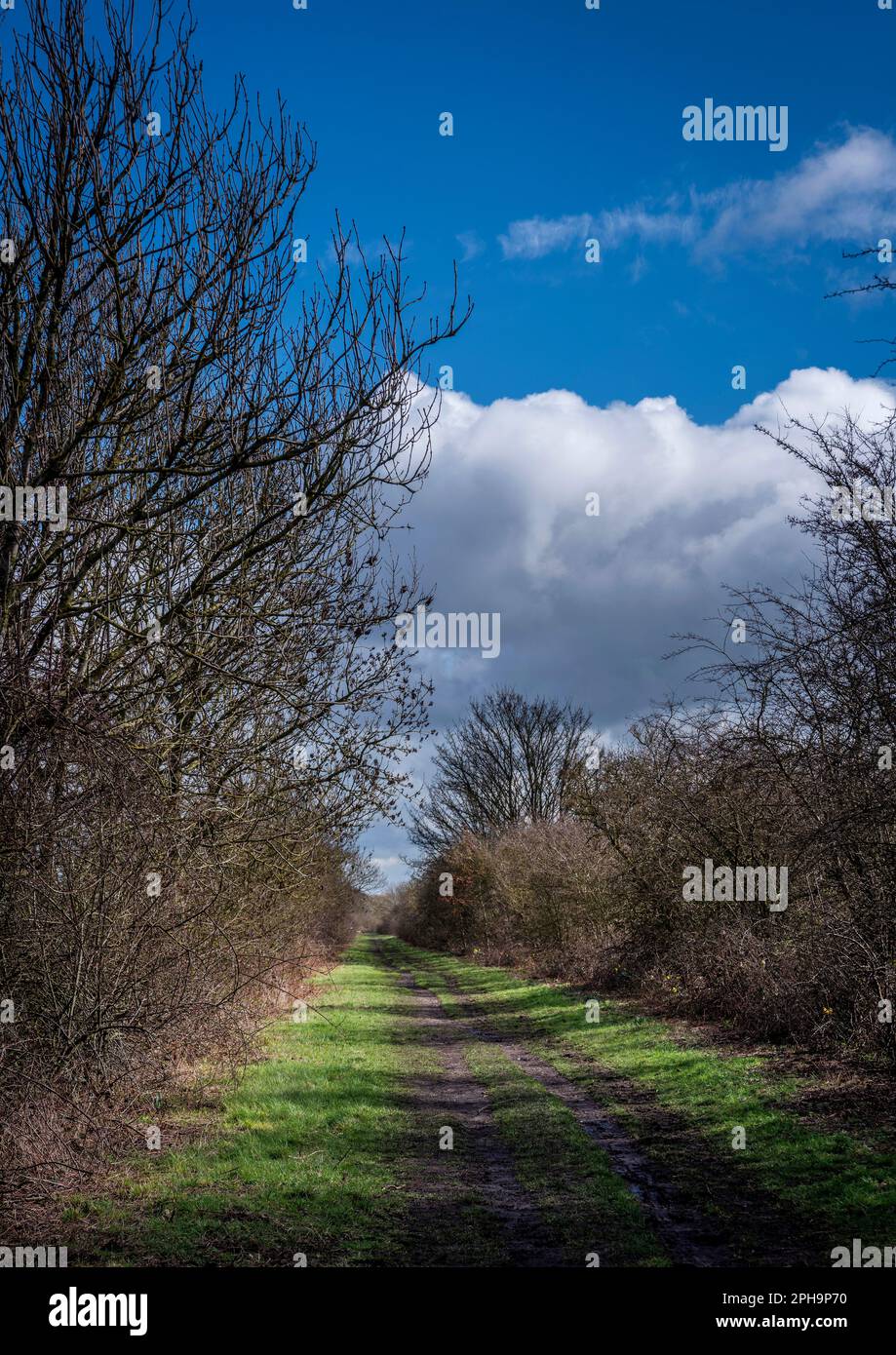 The Hudson Way walking, cycling and horse bridleway along the old Beverley to York railway track near Cherry Burton in East Yorkshire, UK Stock Photo