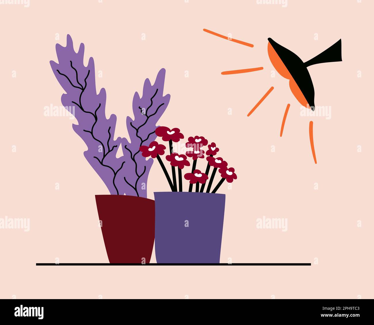 Spring seedling and winter growing of exotic tropic plants under phyto