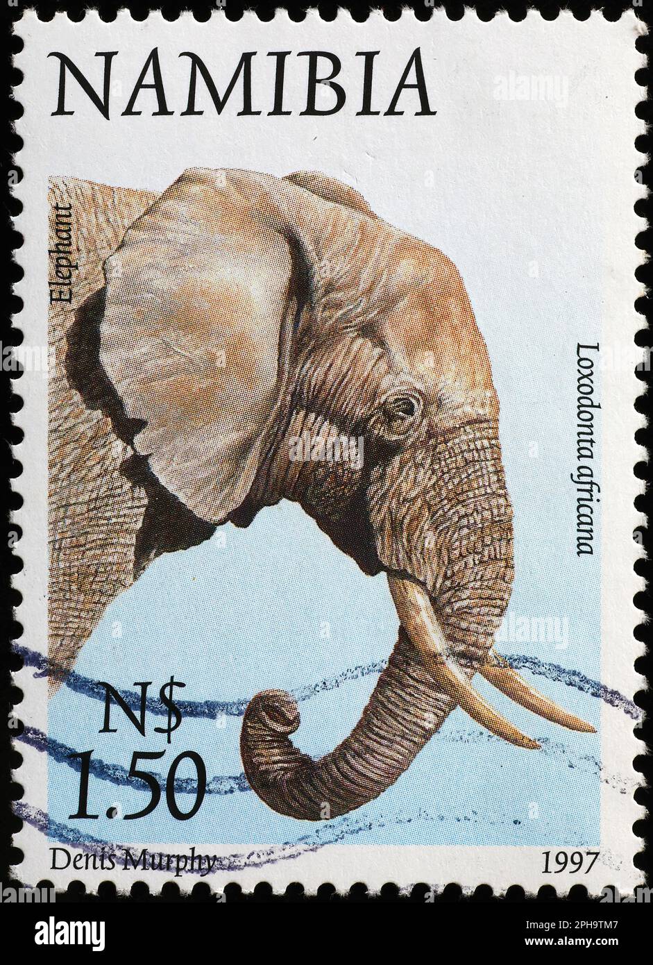 African elephant on postage stamp of Namibia Stock Photo Alamy