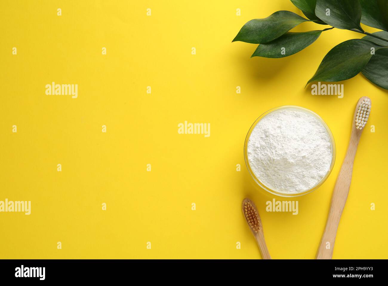 Bowl of tooth powder, brushes and plant on yellow background, flat lay