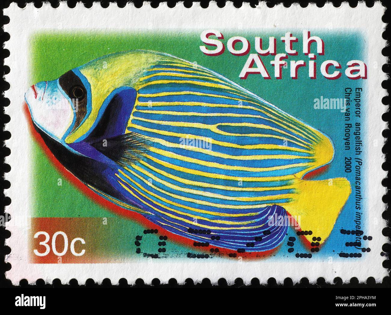 Emperor angelfish on south african postage stamp Stock Photo