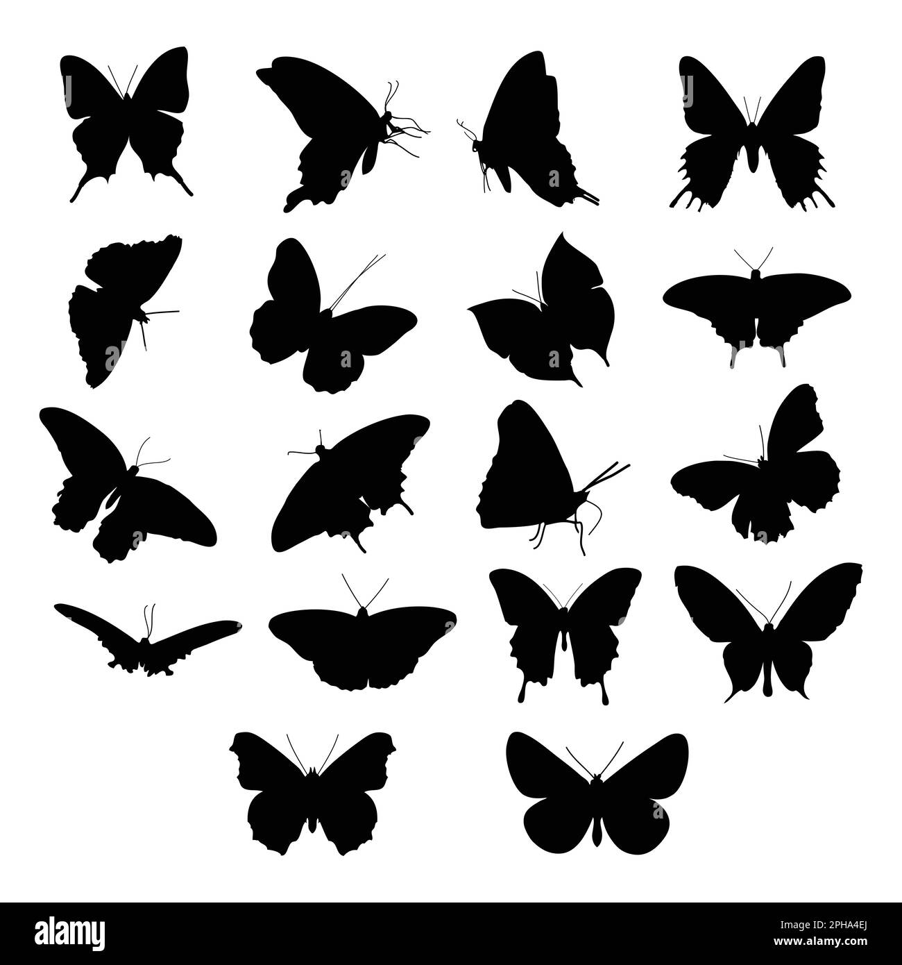 butterflies design over white background vector illustration silhouette Stock Vector