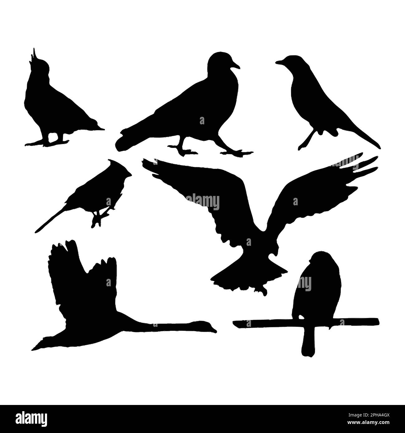 Set of silhouettes of birds on a white background Stock Vector