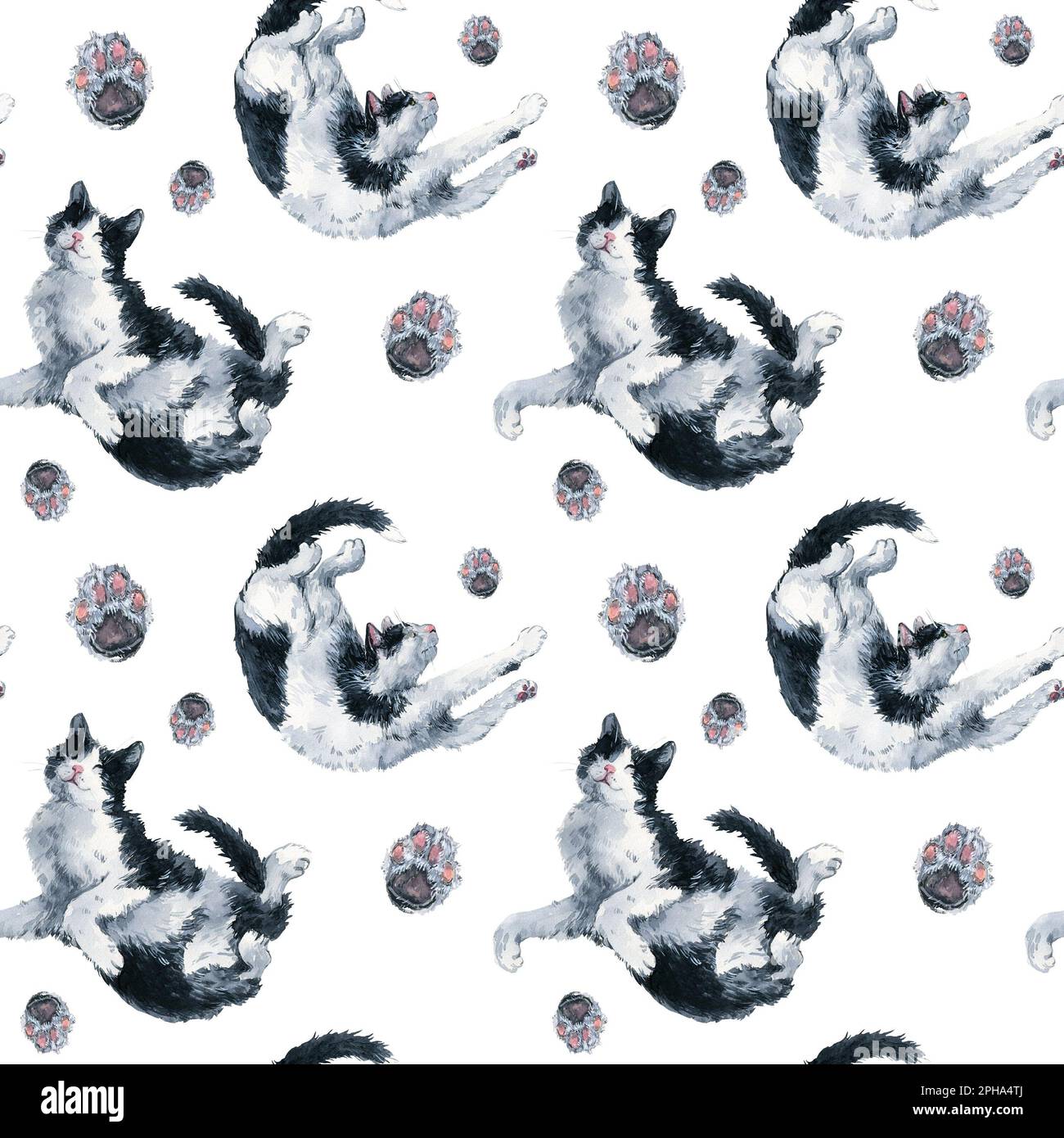 Two playing bicolor black and white cats and pink paws seamless pattern. Watercolor painting on white background. Graphic for fabric, wrapping paper Stock Photo