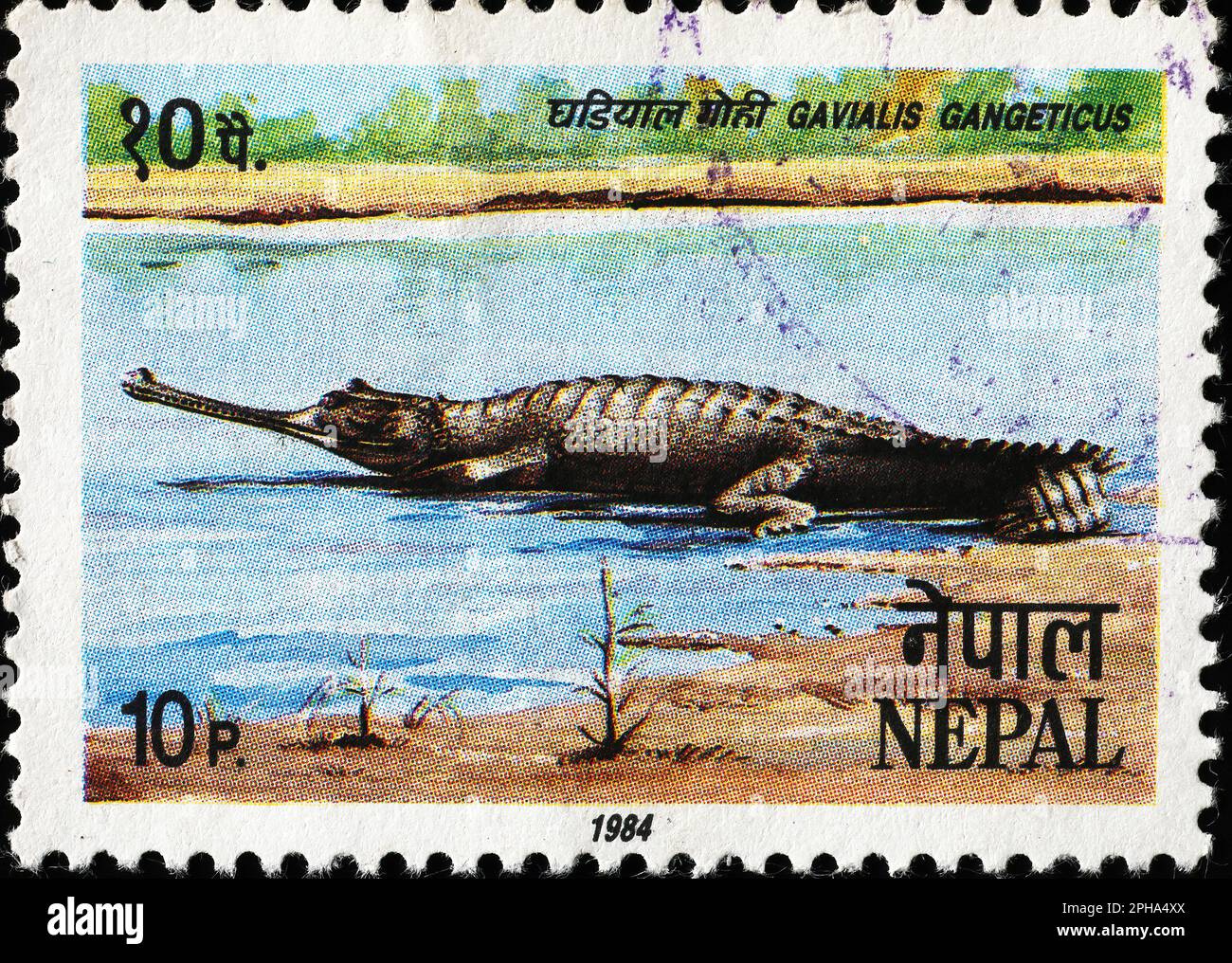 Gharial on postage stamp from Nepal Stock Photo