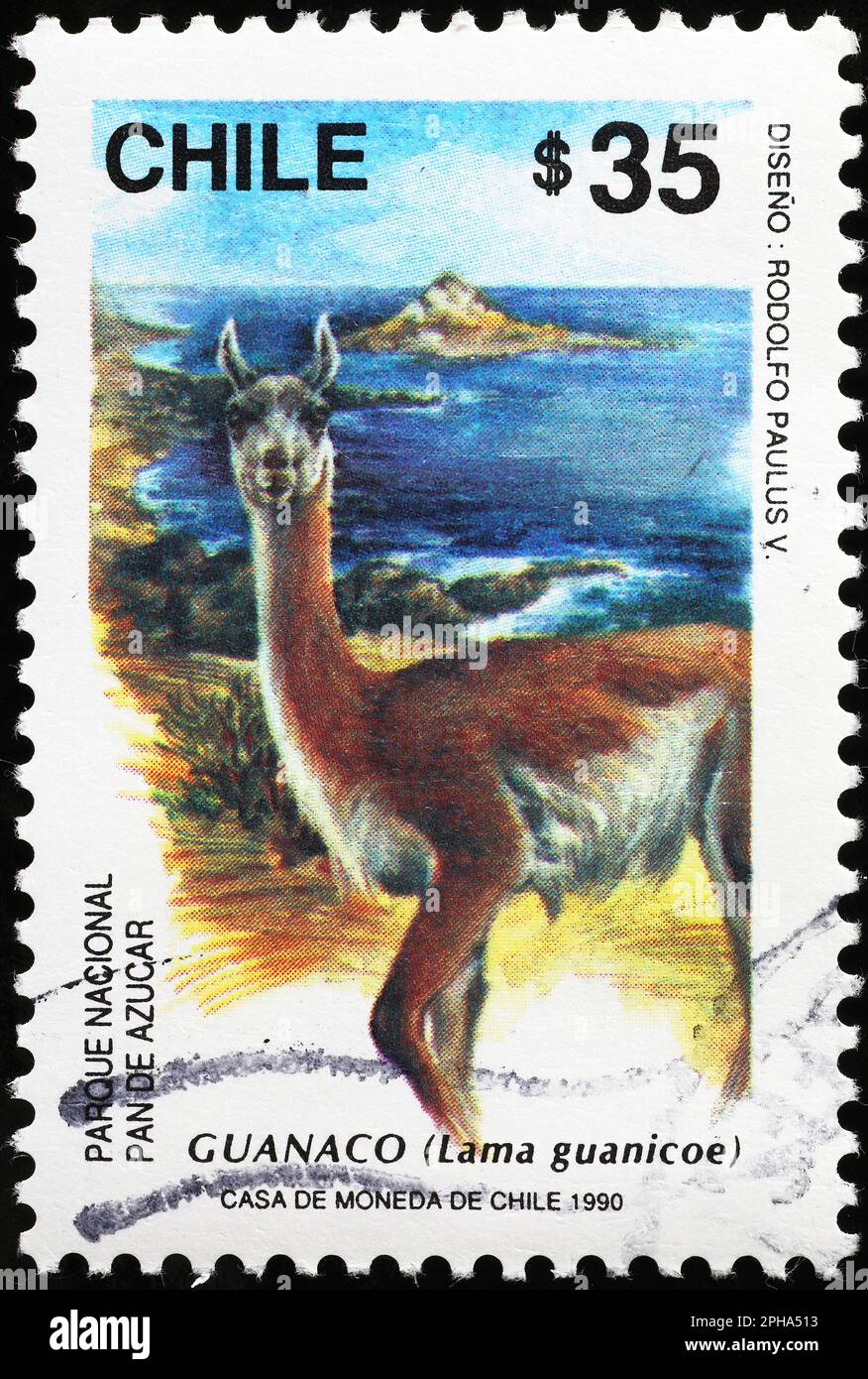 Guanaco on chilean postage stamp Stock Photo