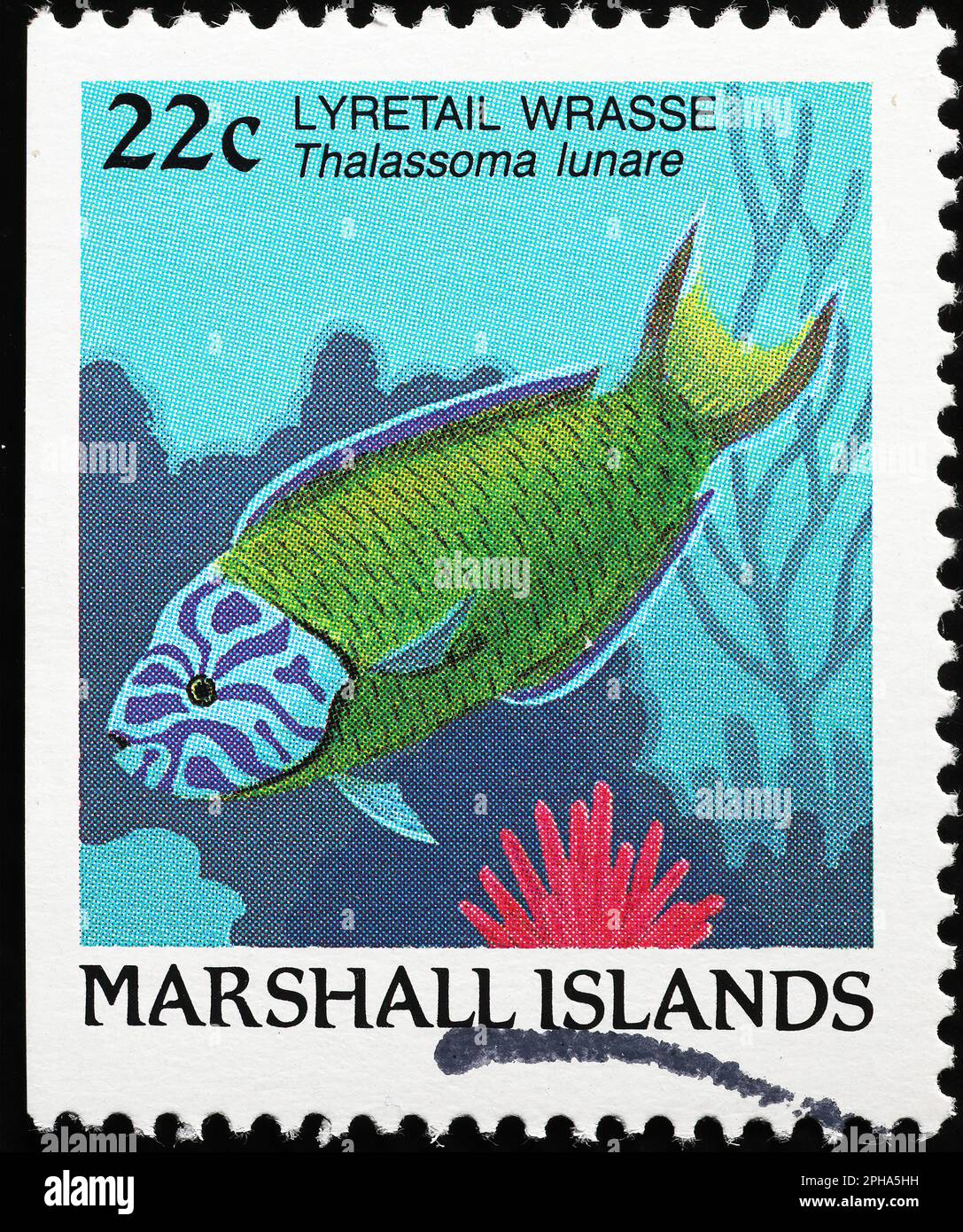 Lyretail wrasse on stamp of Marshall Islands Stock Photo