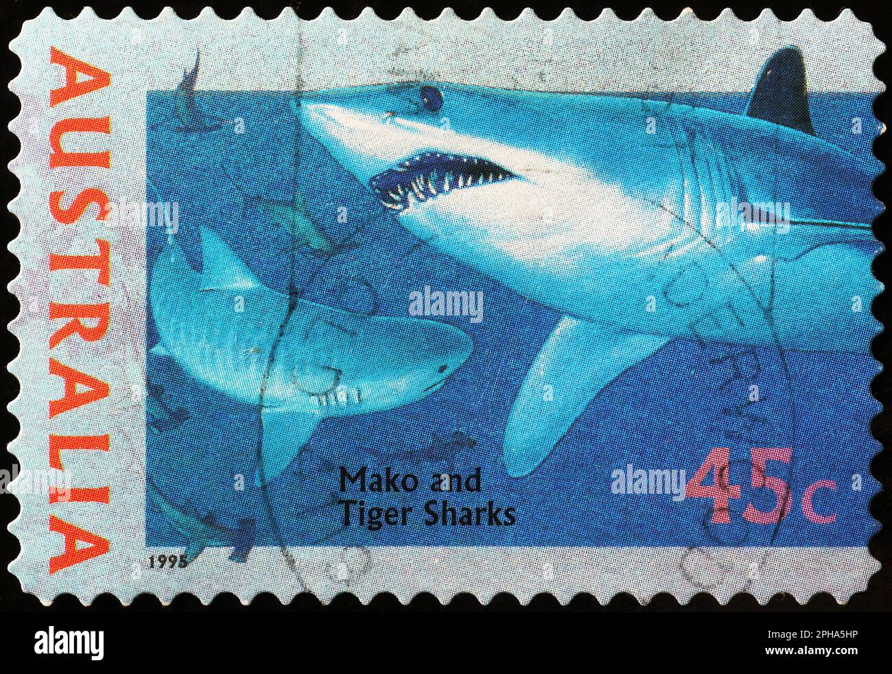 Mako and tiger sharks on australian postage stamp Stock Photo