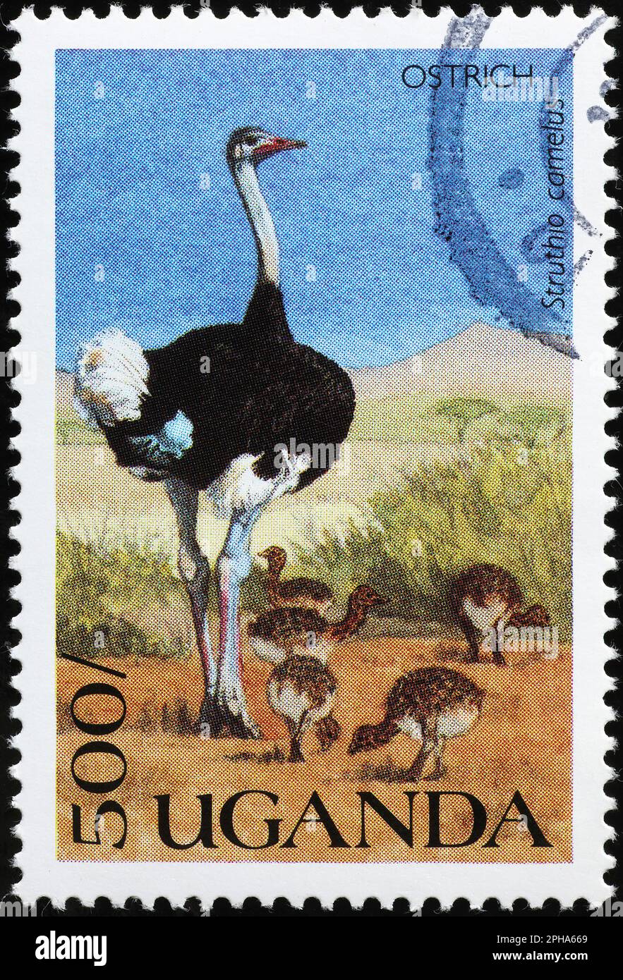 Ostrich and chicks on postage stamp from Uganda Stock Photo